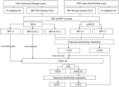 Comparison of the performance of HPV DNA chip test and HPV PCR test in cervical cancer screening in rural China